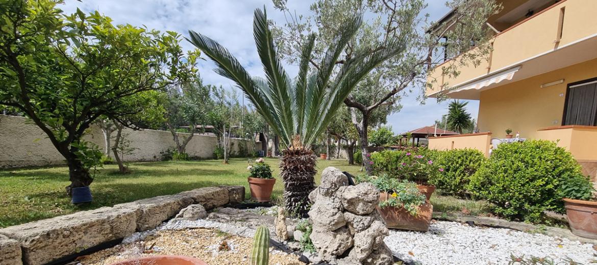 Giardino con fontana, piante e cactus davanti a una casa con balcone.