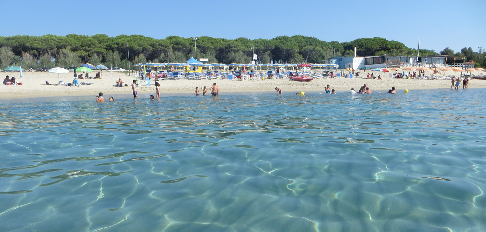 Spiaggia con mare cristallino, bagnanti e ombrelloni, circondata da una pineta.