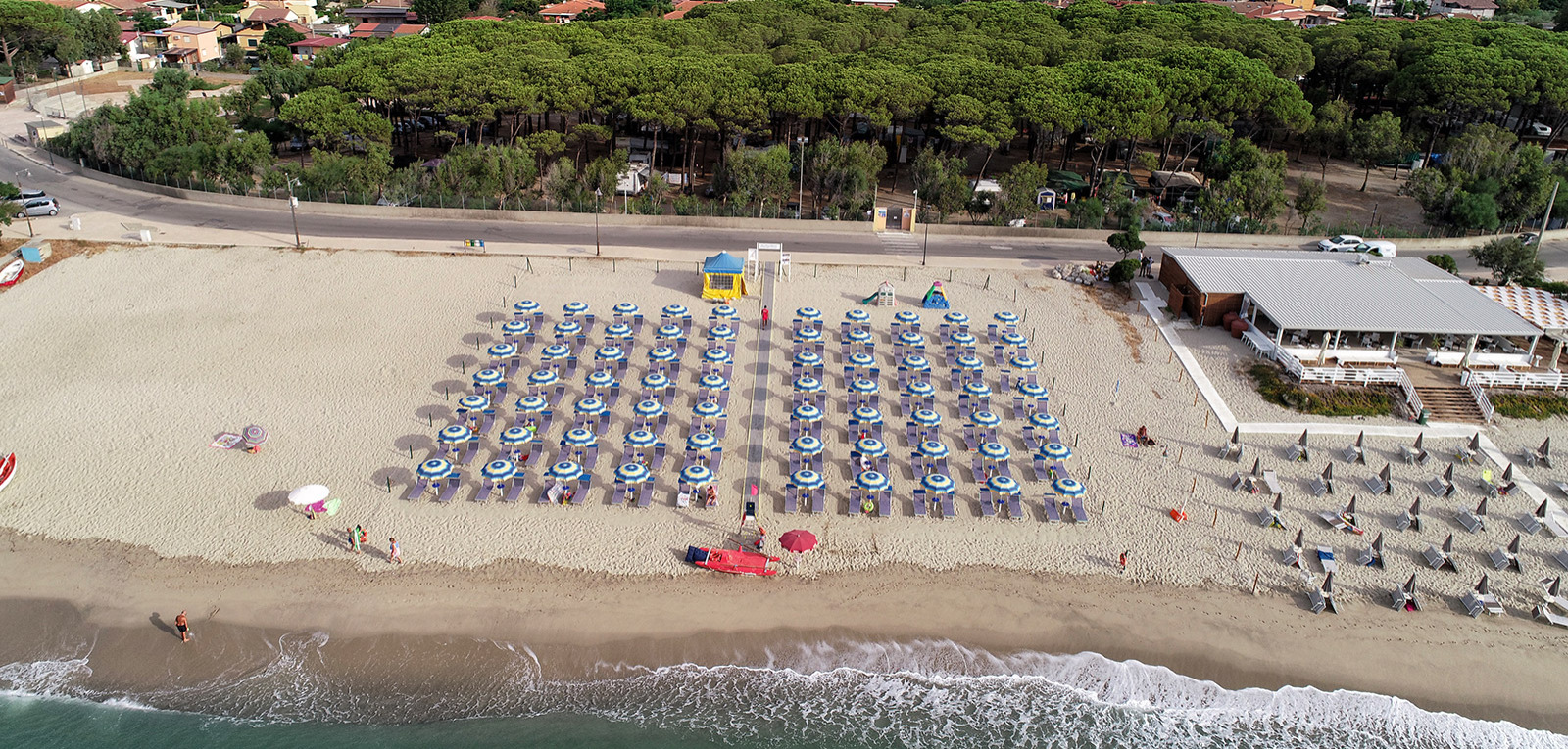 Spiaggia con file di ombrelloni, mare calmo e pineta sullo sfondo.