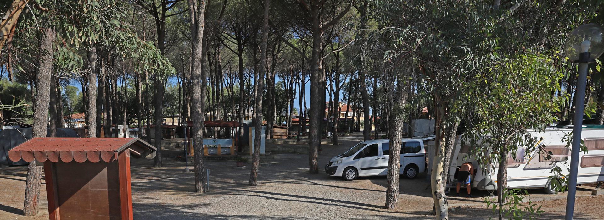 Campeggio tra gli alberi con camper parcheggiato e persona vicino alla roulotte.