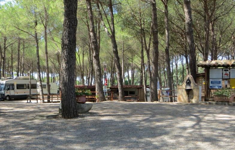 Area di sosta per camper in una pineta, con servizi e ombra.