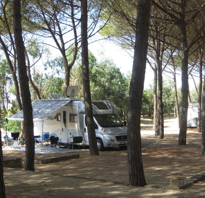 campinglungomare it piazzole-camping 010